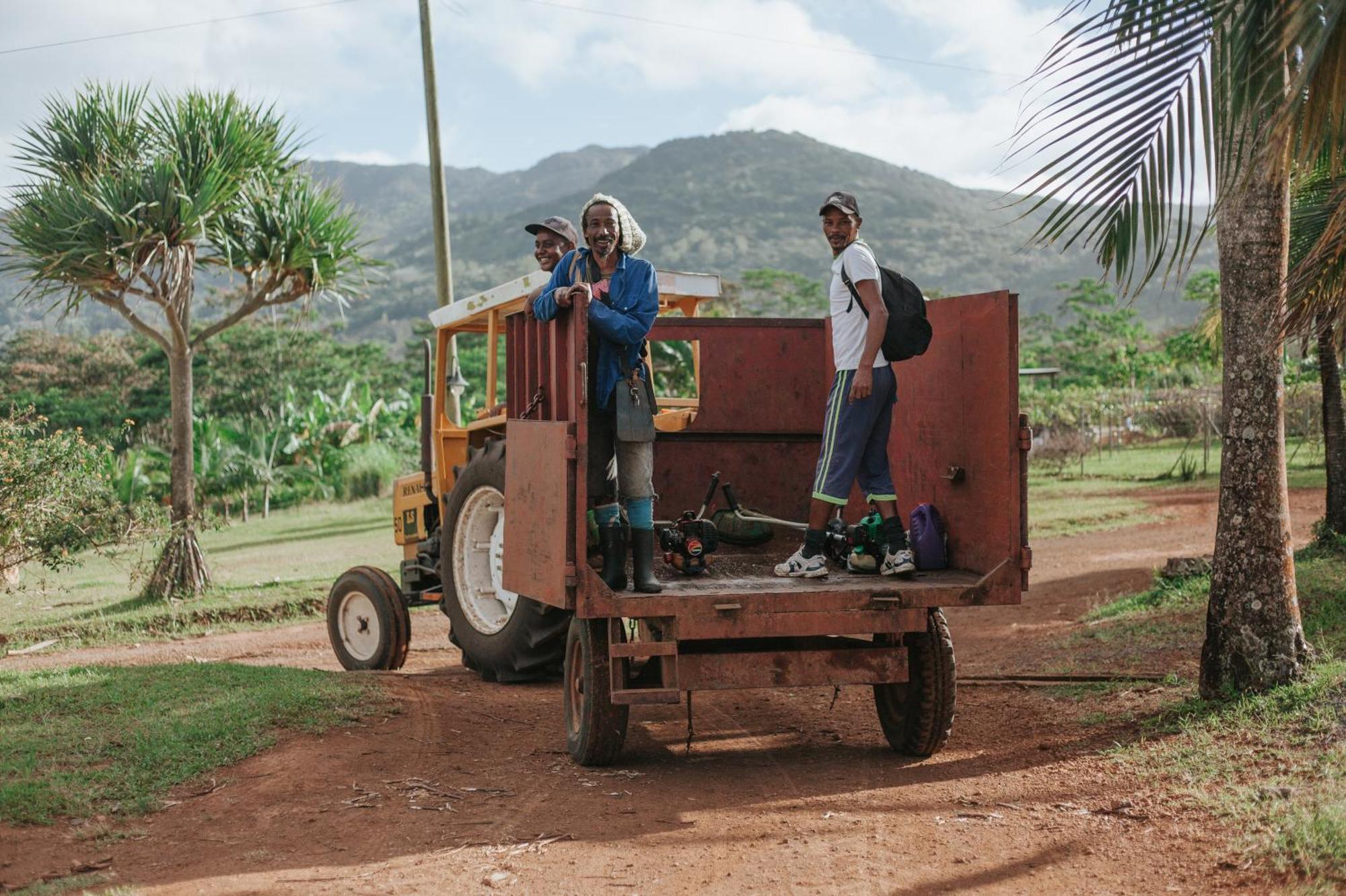 La Vieille Cheminee, Tropical Farm & Eco-Lodges 카마렐 외부 사진